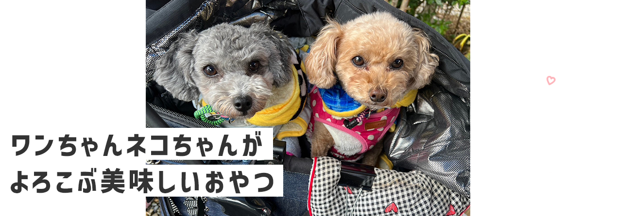 DOKEN JERKY(どけんジャーキー) ワンちゃん・ネコちゃんが喜ぶ美味しいおやつ