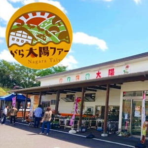 DOKEN JERKY販売店